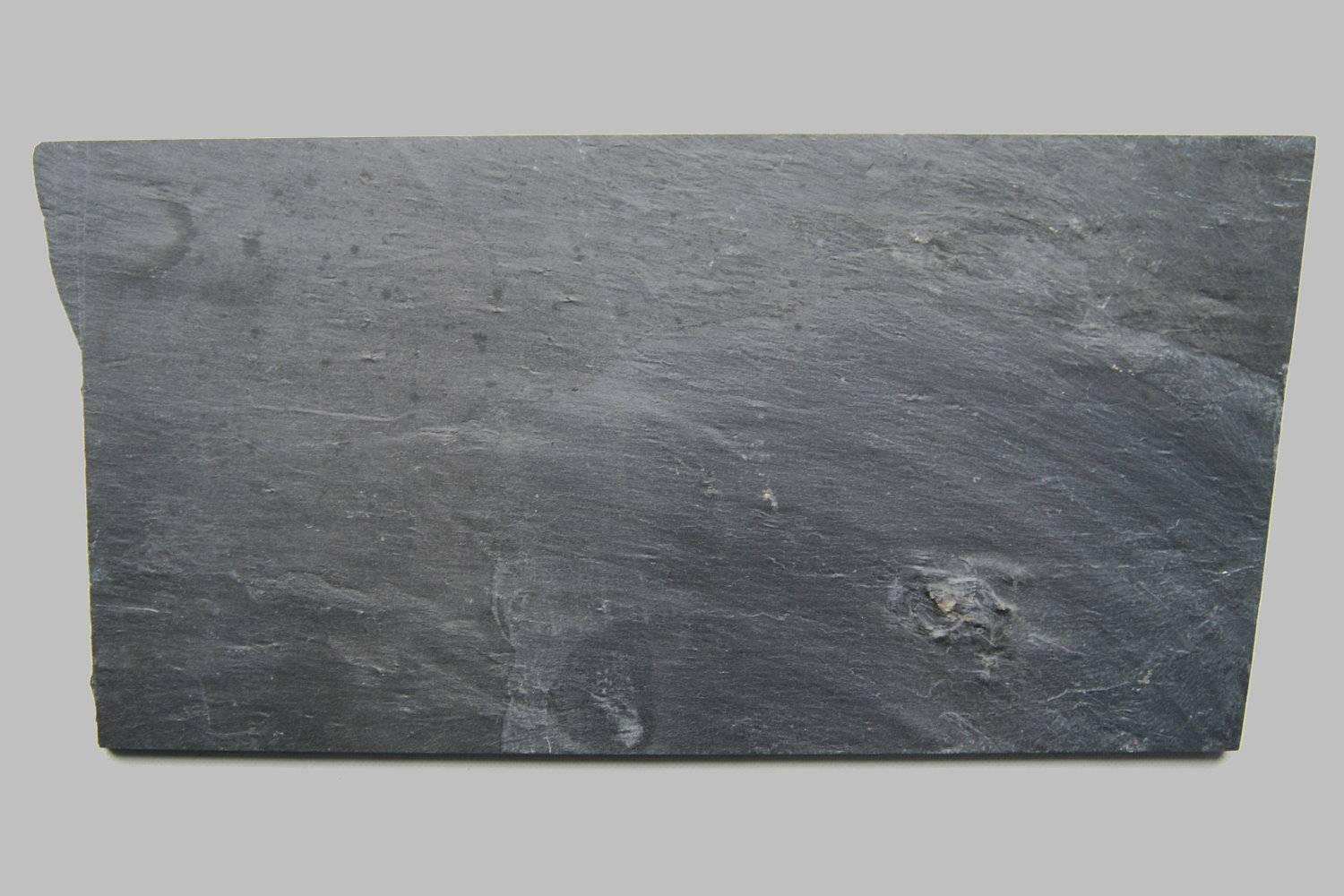 Regulaecystis pleurocystoides, Bundenbach