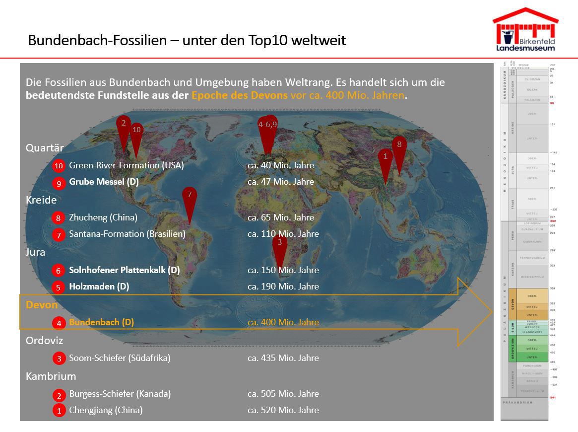 Bundenbach-Fossilien_Museum_02