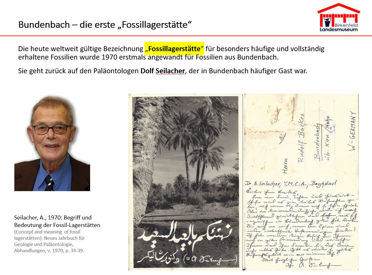 Bundenbach-Fossilien_Museum_03