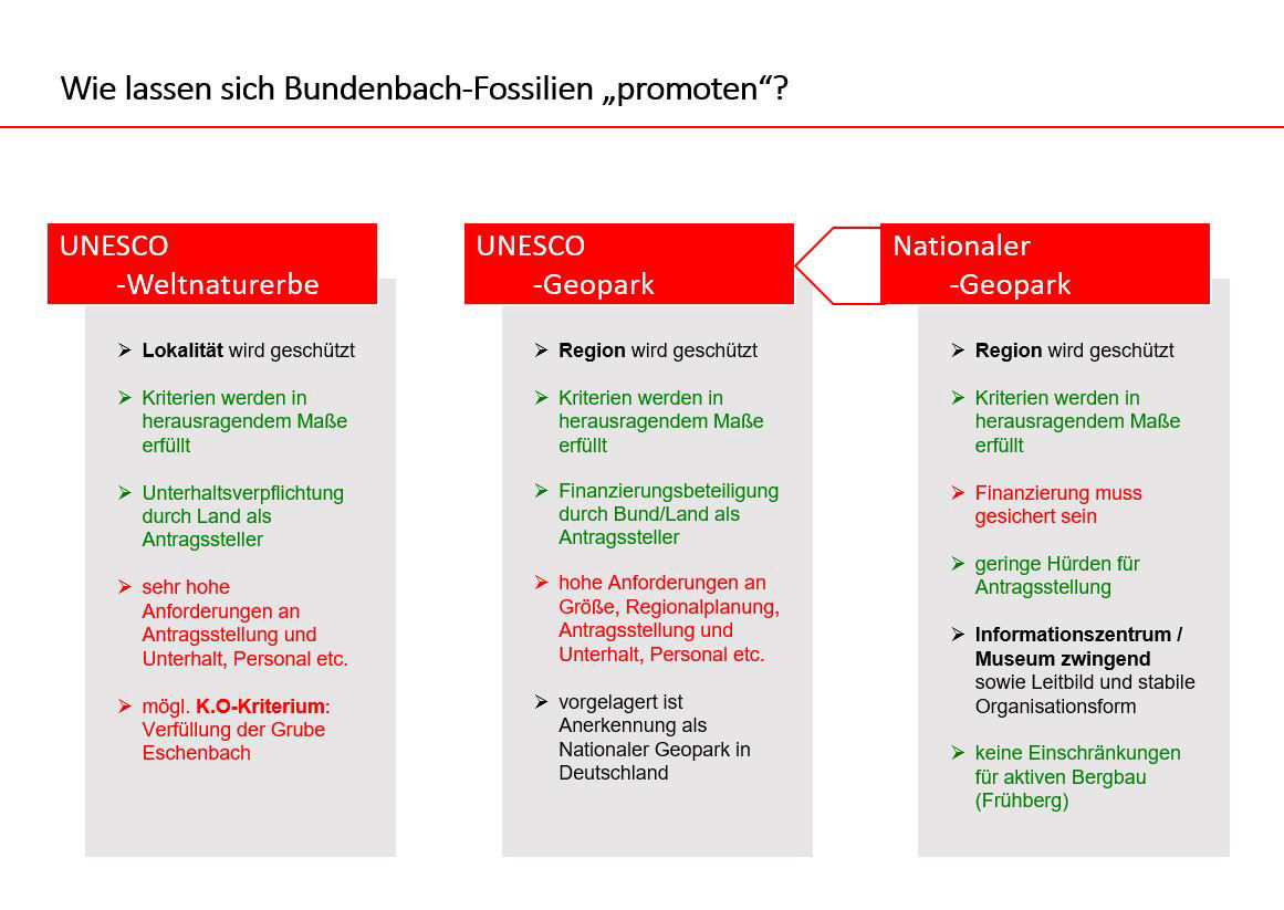 Bundenbach-Fossilien_Museum_09