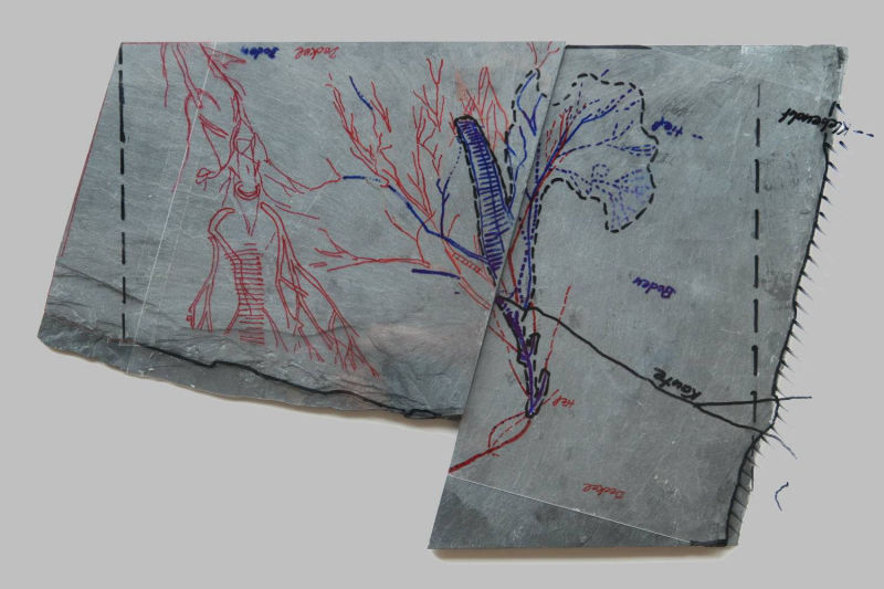 Gastrocrinus giganteus, Bundenbach