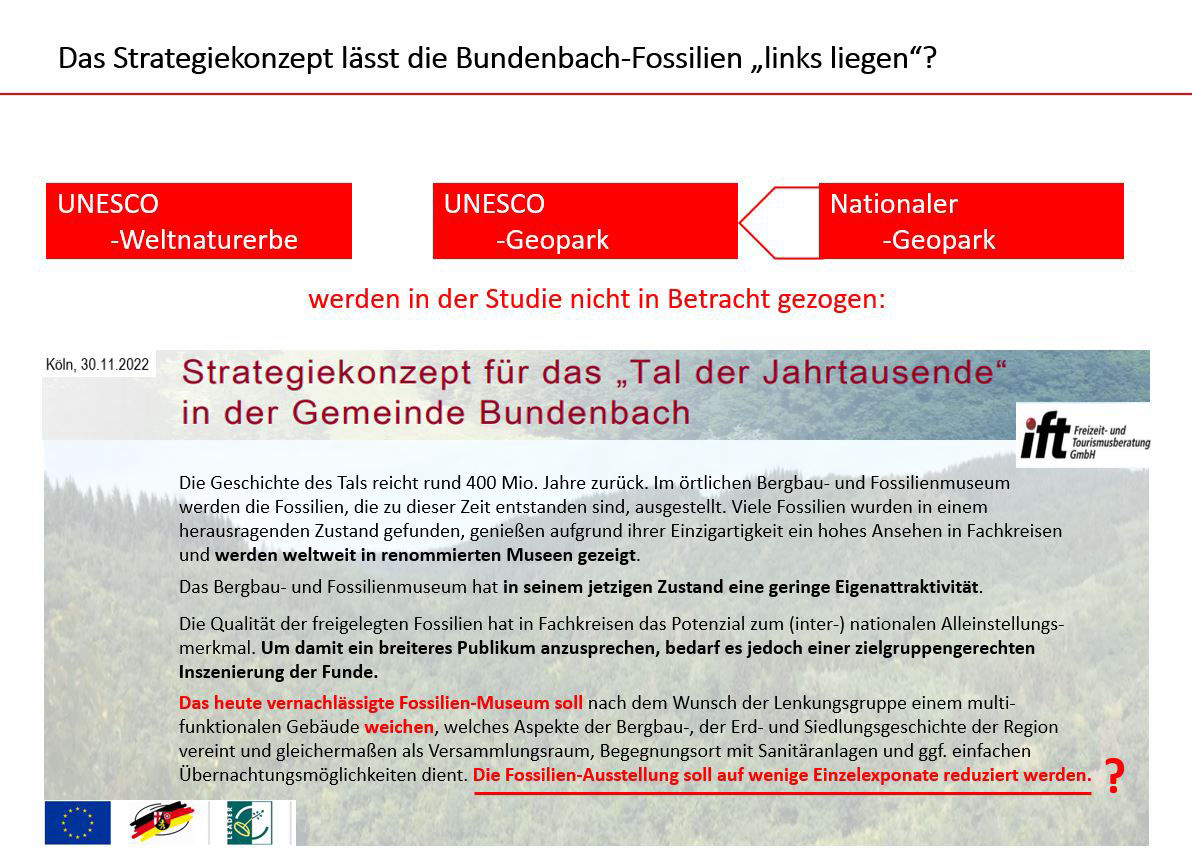 Bundenbach-Fossilien_Museum_10