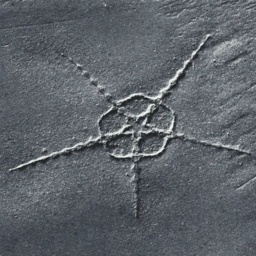 Ophiurina lymani, Bundenbach