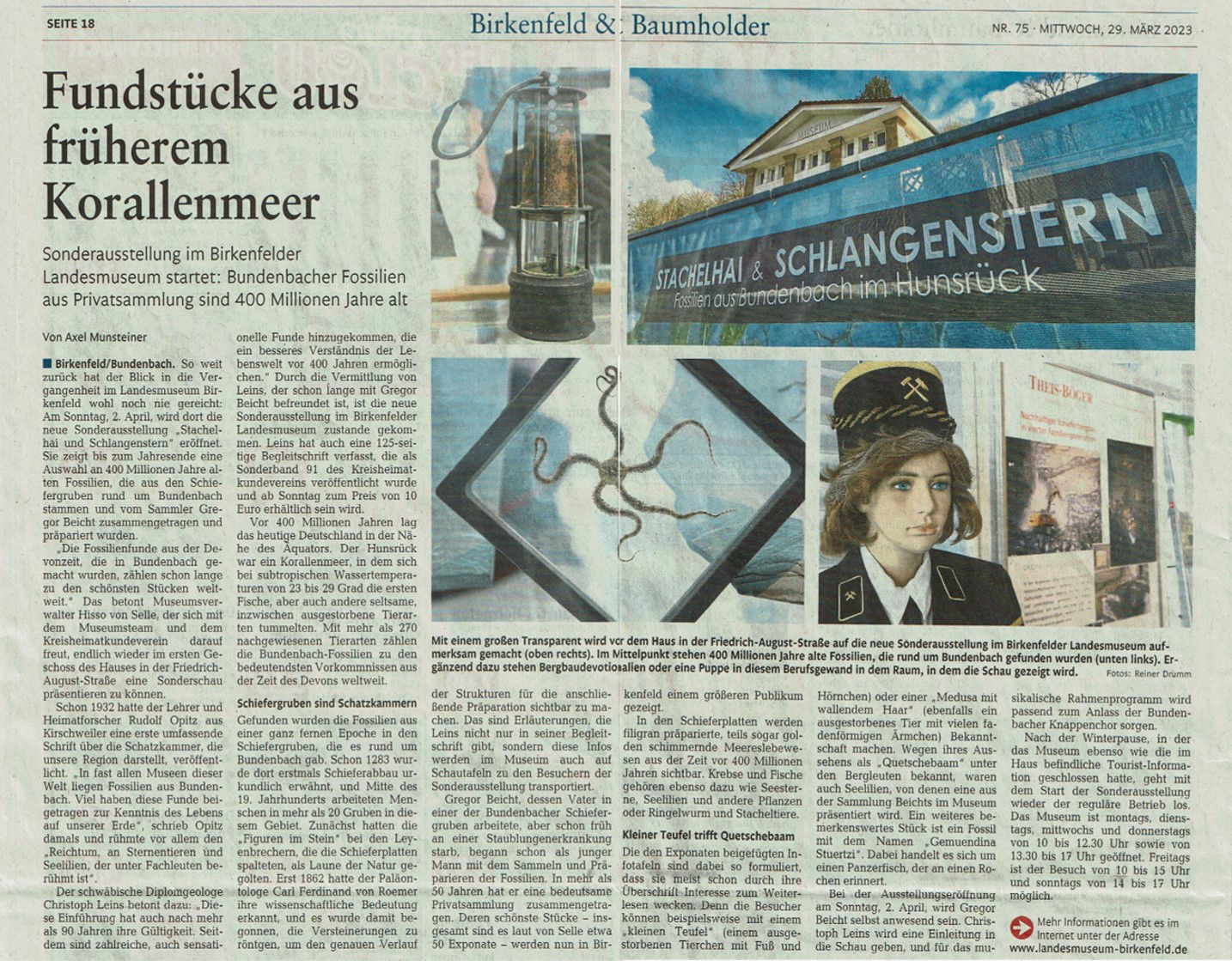 Bundenbach-Fossilien_Ausstellung_Artikel_1