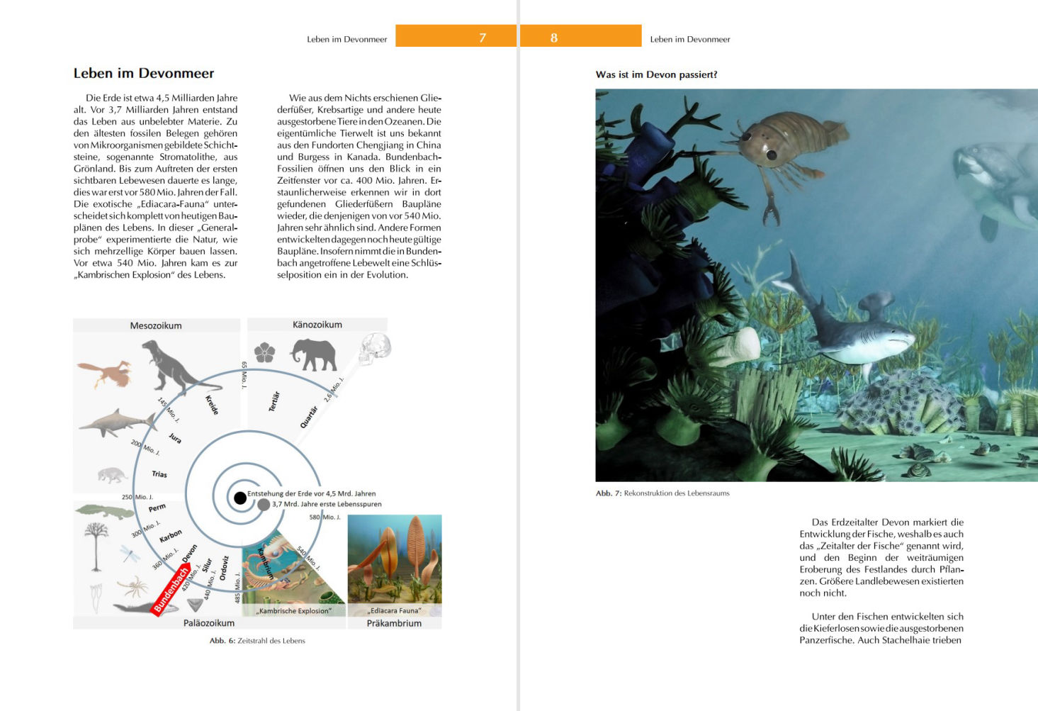 Bundenbach-Fossilien_Ausstellung_Seite 7-8
