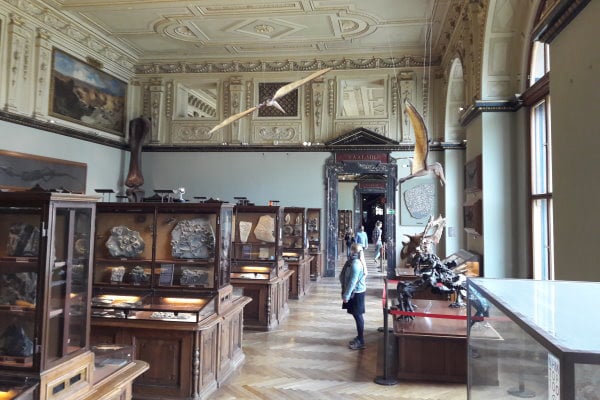 Bundenbach-Fossilien_NHM Wien_Ansicht_01