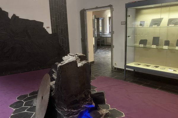 Bundenbach-Fossilienmuseum_Ansicht_3