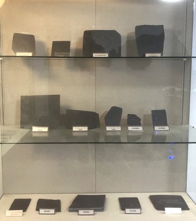 Bundenbach-Fossilienmuseum_Vitrine 2