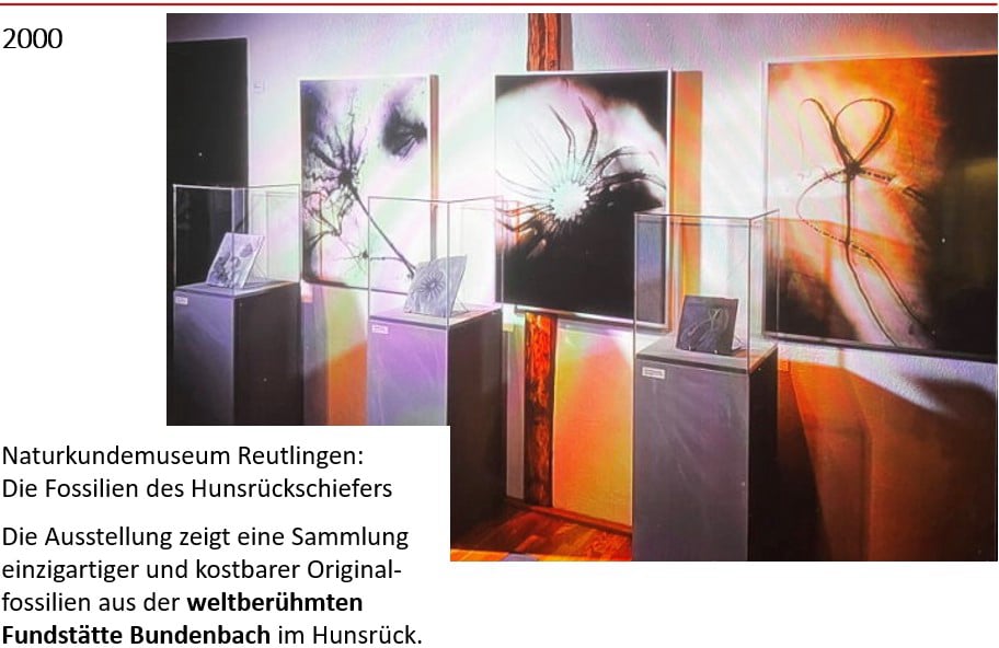 Fossilienmuseum_Rückblick_Naturkundemuseum Reutlingen