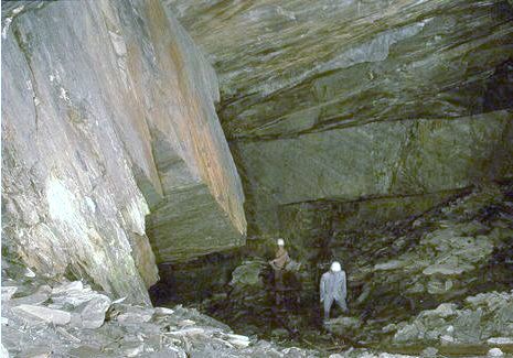 Bundenbach Fossilien Infos